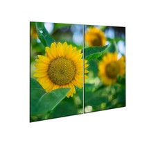 Herdabdeckplatten Set 2x30x52