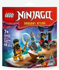 LEGO NINJAGO 30700 Set Arins