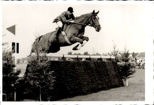 Foto springreiten sprung - foto,