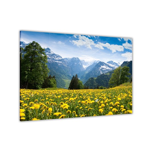 Blumenfeld berge leinwand - berge,