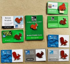 RSPB rotes Eichhörnchen x9