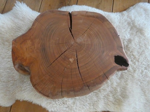 Baumscheibe kirsche deko - baumscheibe,