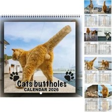 2026 Cat Ball Kalender