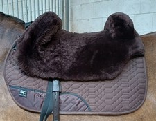 Engel FELLSATTEL, WB