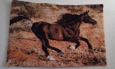 Wandteppich/Wandbehang, Pferd ca 1 m X 67,5cm. Handarbeit selbst geknüpft, ￼￼￼