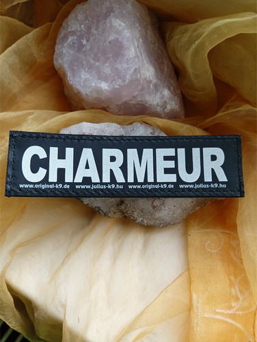 Charmeur klettlogo x - klettlogo, 3