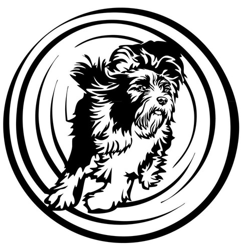 Bearded collie aufkleber - aufkleber,