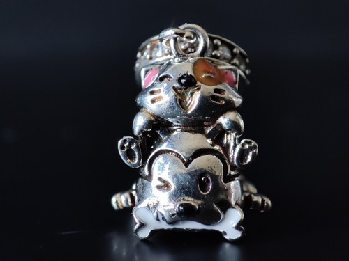 Charm hunde freunde hund katze - freunde,