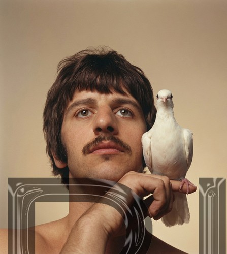 The beatles ringo starr - ringo,