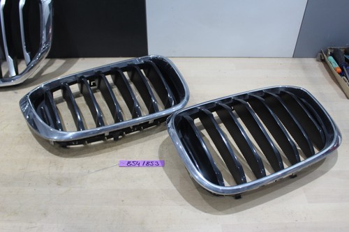 Nieren kühlergrill original - original, +