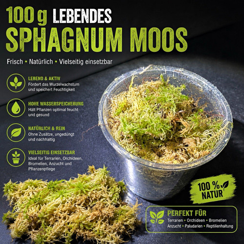 100 lebendes sphagnum moos - 100,