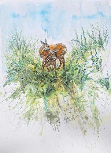 Reh rehwild jagdmaler - ,jagdmaler,, jagd