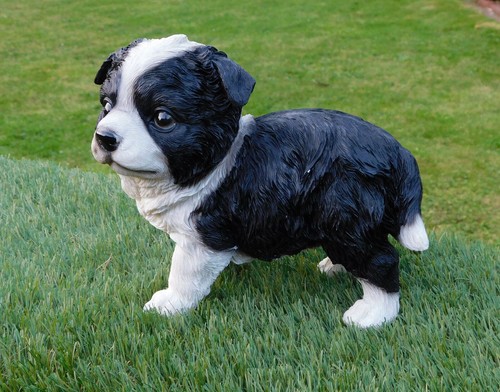 Gartenfigur hund border collie - gartenfigur,