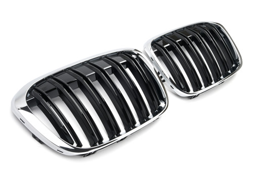 Sport grill nieren - sport,