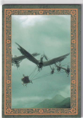 Panini harry potter evolution - harry,