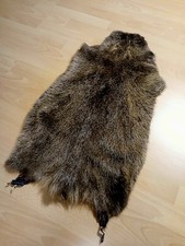 Fell Nutria gegerbt ca. 70 cm