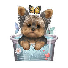 6x car sticker Yorkshire