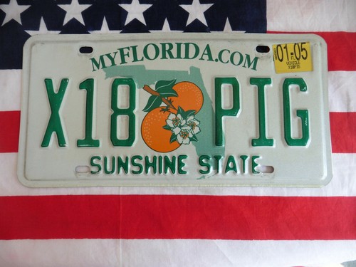 Florida sunshine state x18 - florida,