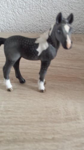 Schleich pferd fohlen - schleich,