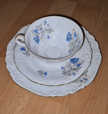 alte Sammeltassen von  Reichenbach Porzellan DDR Sammler