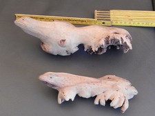 Leguan Waran o. a. 2 St. aus Wurzelholz handgeschnitzt naturfarb 20 u 23 cm groß