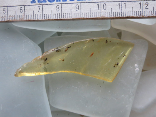 Kopal copal junger bernstein - junger,