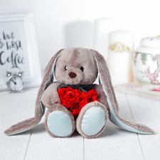 Plüschtier Hase Zaika 20 cm