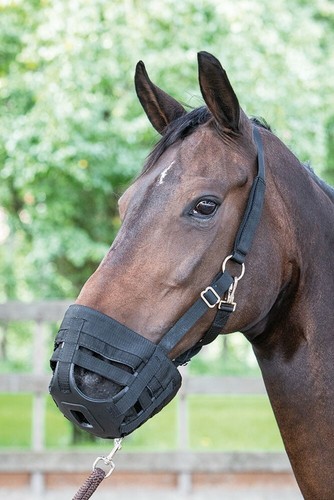 Harrys horse fressbremse air - horse, air"