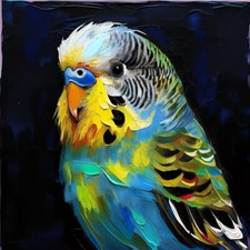Poster Bild Kunstdruck Wandbild Gemälde Leinwand  30x30 cm Vogel Wellensittich