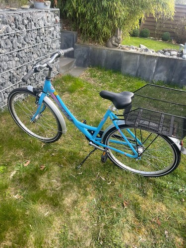Fahrrad pegasus hellblau - pegasus,