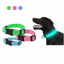 LED Hundehalsband