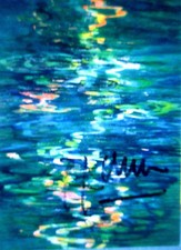 BERND ZIMMER >Schwimmendes