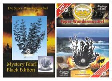 WUNDERMUSCHEL mit PERLE