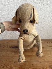 Steiff Bernhardiner, 30er Jahre, Vorkrieg, Ohne IDs