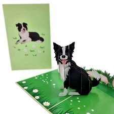 3D Pop-Up Karte: Border Collie Hund (mit weißem Briefumschlag und Notizzettel)