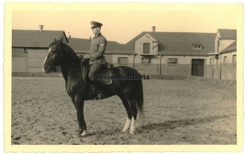 Orig foto reiter mit pferd - reiter, in