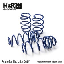 Lowering springs 25 - lowering,