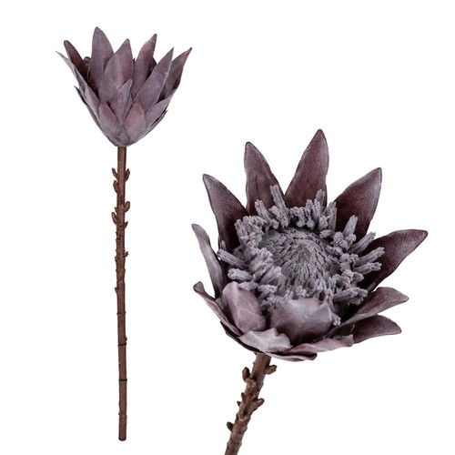 Künstliche protea cynaroides - künstliche,