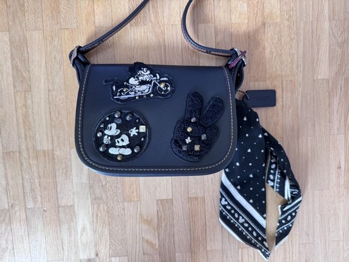 Disney coach mickey mouse - mickey,