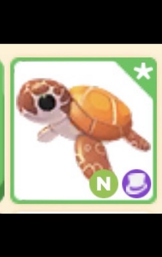 Adopt neon sea turtle - adopt,