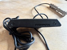 Fishman Seltene Erden