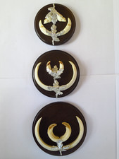 3x Trophäe Keiler Wildschwein Sau Zähne Hauer auf Holz mit silbernem Eichenlaub