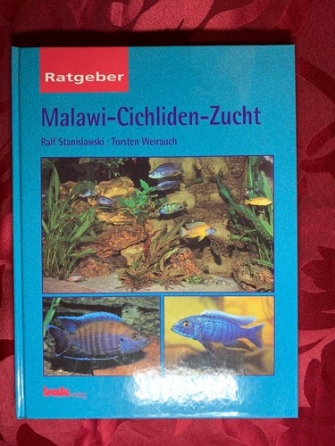 Malawi cichliden zucht - malawi-cichliden-zucht,