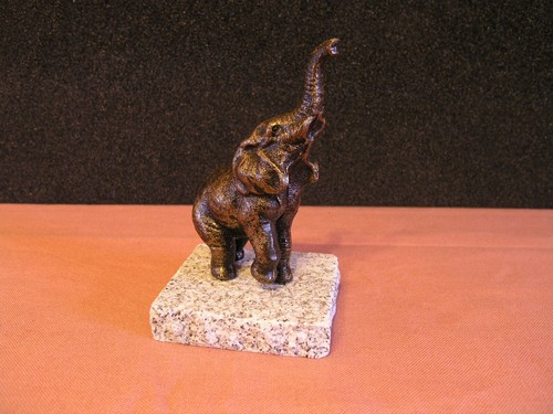 Trompetender elefant auf - trompetender,