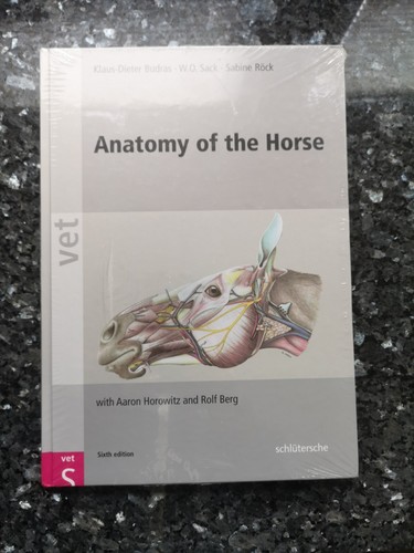 Anatomy the horse budras - anatomy,