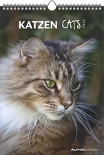 Alpha Edition - Katzen