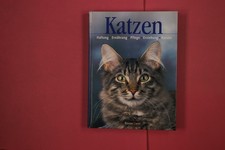 320165 unbekannt KATZEN
