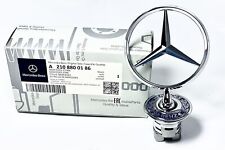 Mercedes Benz Stern, original