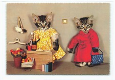 Katzen beim einkaufen - ak,