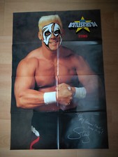 Wcw wrestling poster mit sting - poster,